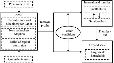 The impact of agricultural machinery services on farmland transfer: a analytical perspective based on the profitability of grain production